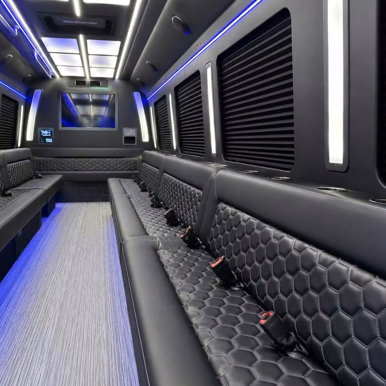 mcdonough party bus party lighting