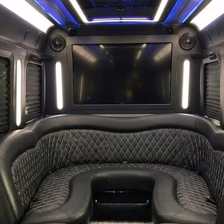 mcdonough party bus sound system